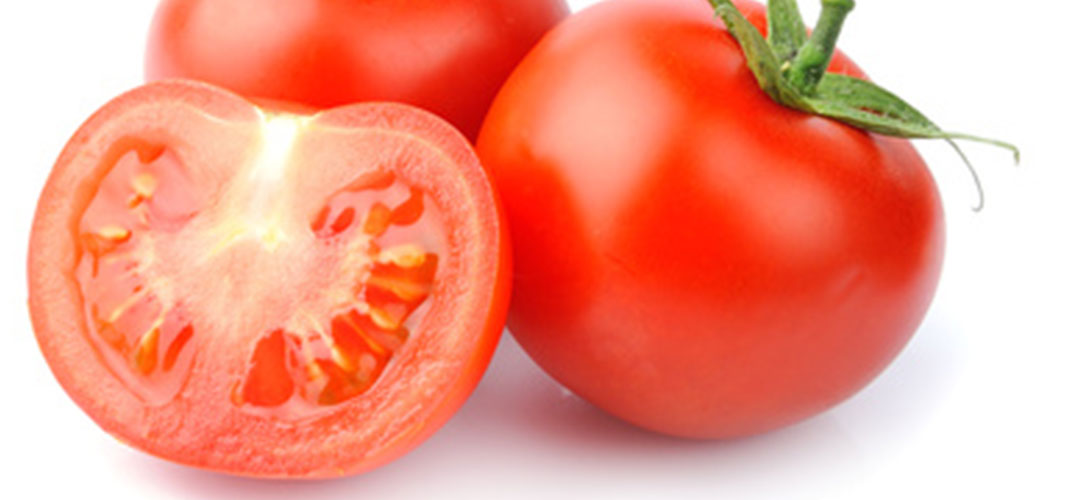 Tomaten ausgeizen
