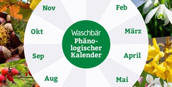 Phanologischer Kalender Praktischer Gartenkalender Waschbar