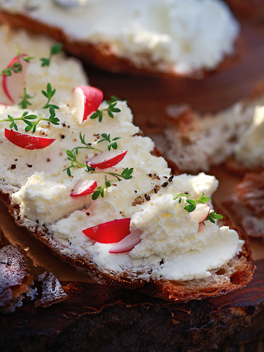 Frisch und lecker – ein Brot mit selbst gemachtem Frischkäse und knackigen Radieschen