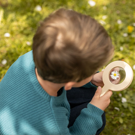 Junge mit Holzlupe untersucht ein Gänseblümchen