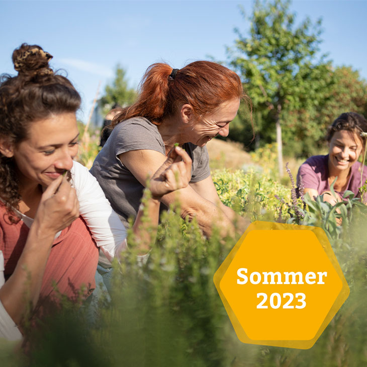 Neues für den Sommer 2023