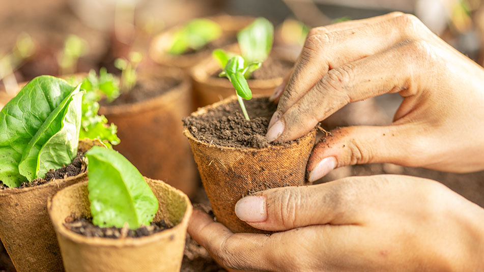 Den Garten für den Frühling vorbereiten