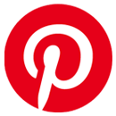 Pinterest Waschbär