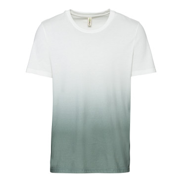 Jerseyshirt aus Bio-Baumwolle mit Farbverlauf, seegras